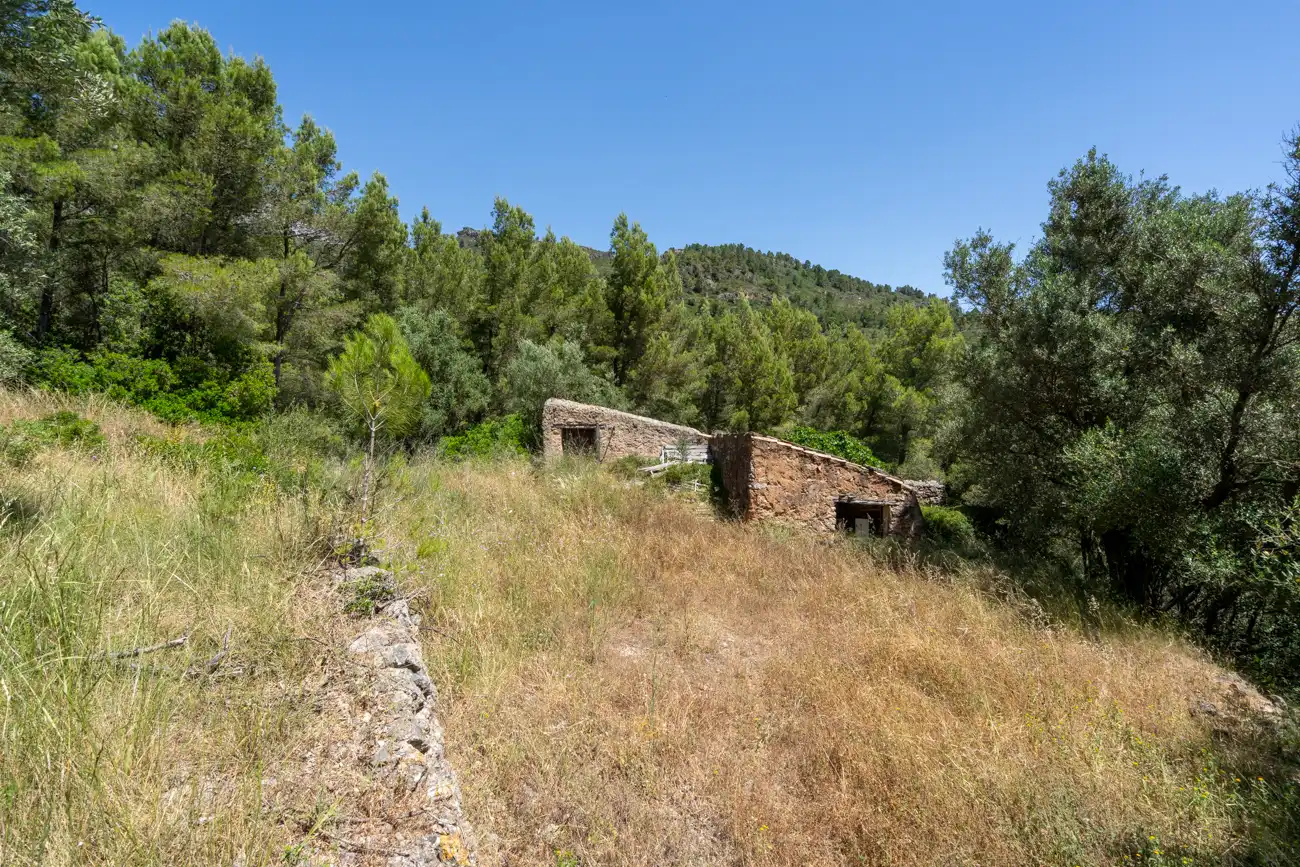 Terreny rústic en venda a Carrer del Trinquet 6, imagen 11