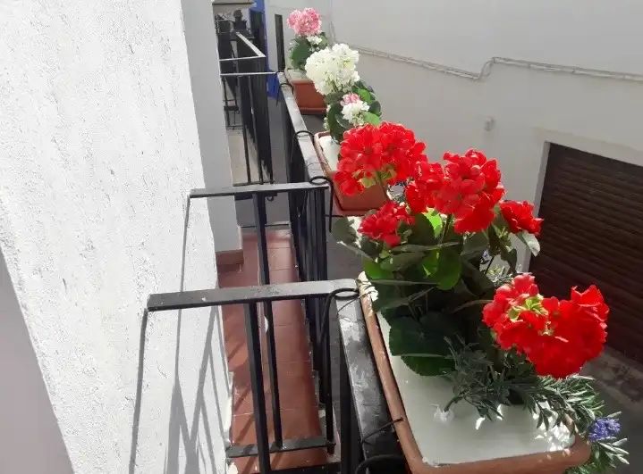Pis amb terrassa en venda a Calle San Basilio, imagen 6