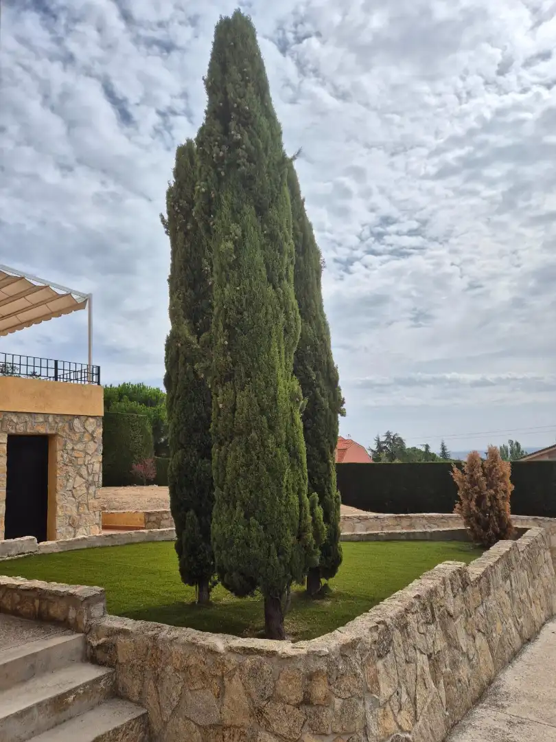 Garden of Houses for sale in Pino Alto - Navarredonda