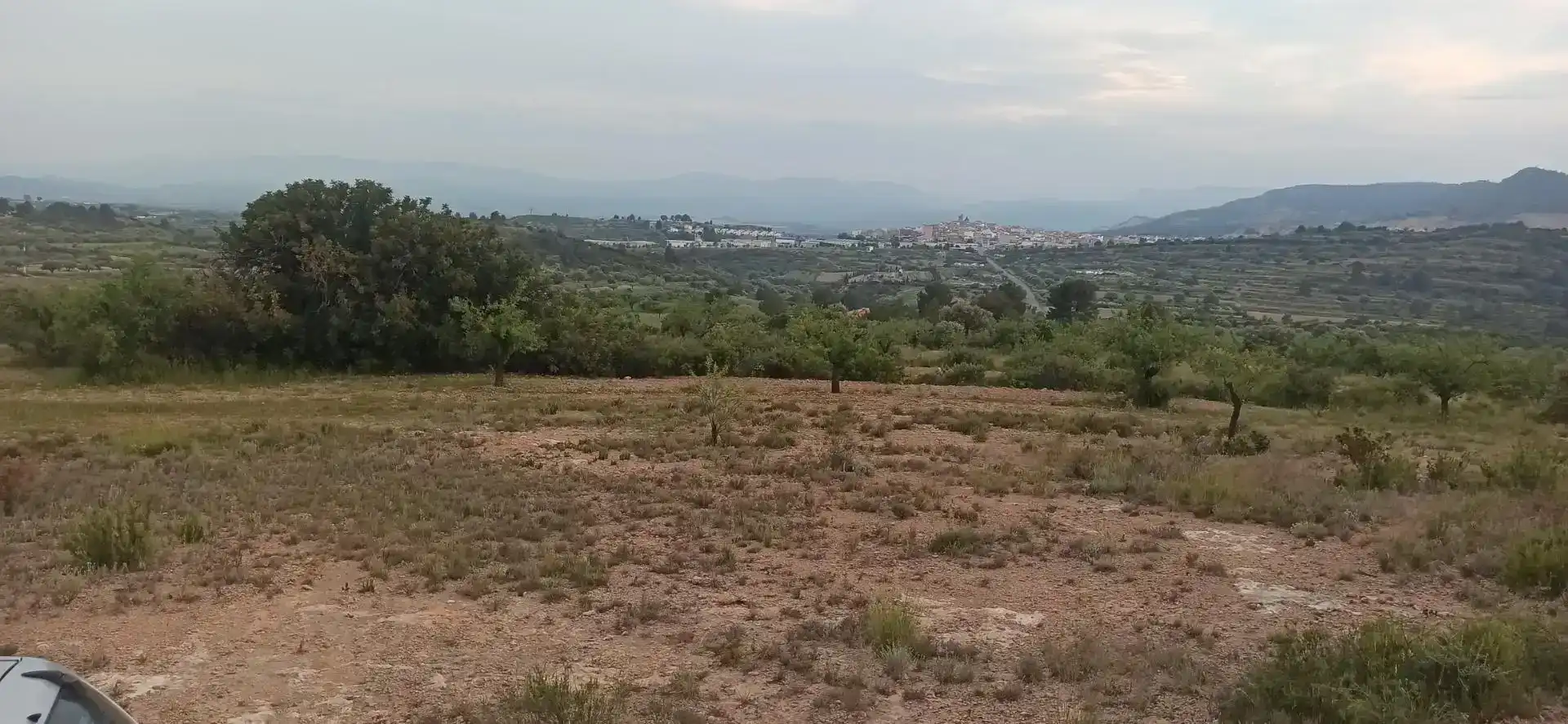 Finca rústica en venda en Andilla