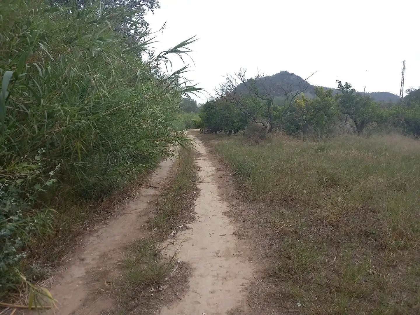 Terrenys i solars en venda a Miravet, imagen 13