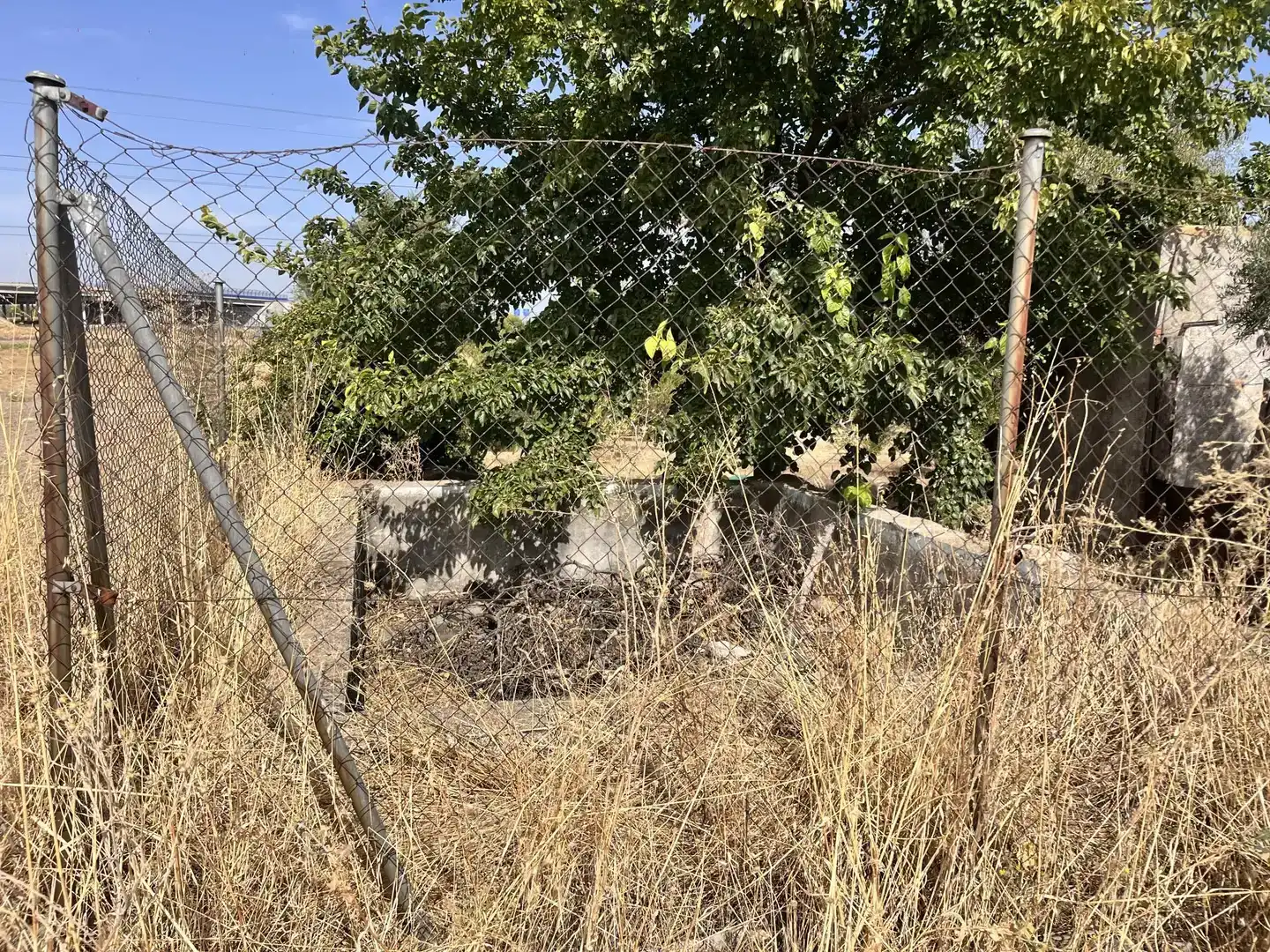 Land for sale in Pinto