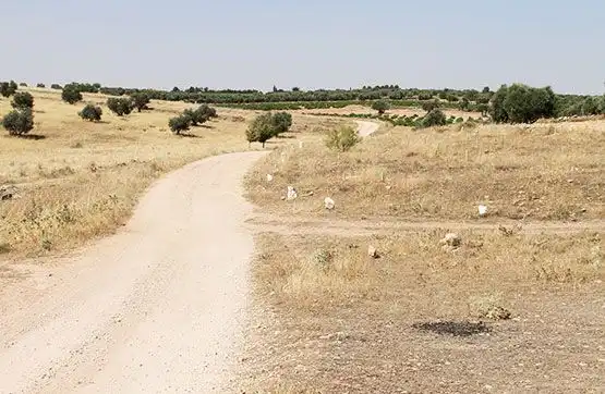Residential for sale in Almadén