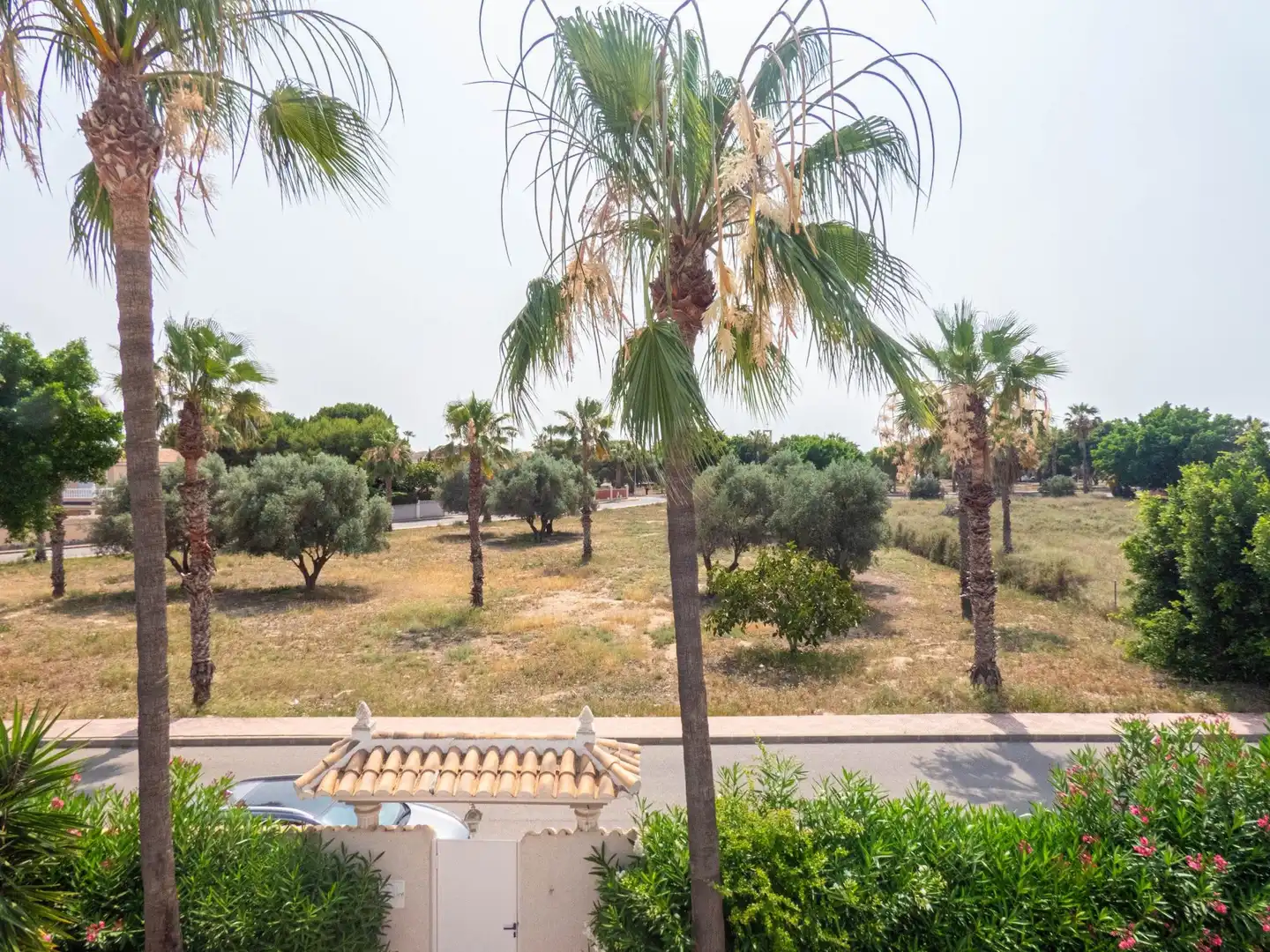Jardín de Casa o chalet en venta en Rojales con Jardín privado, Terraza y Piscina