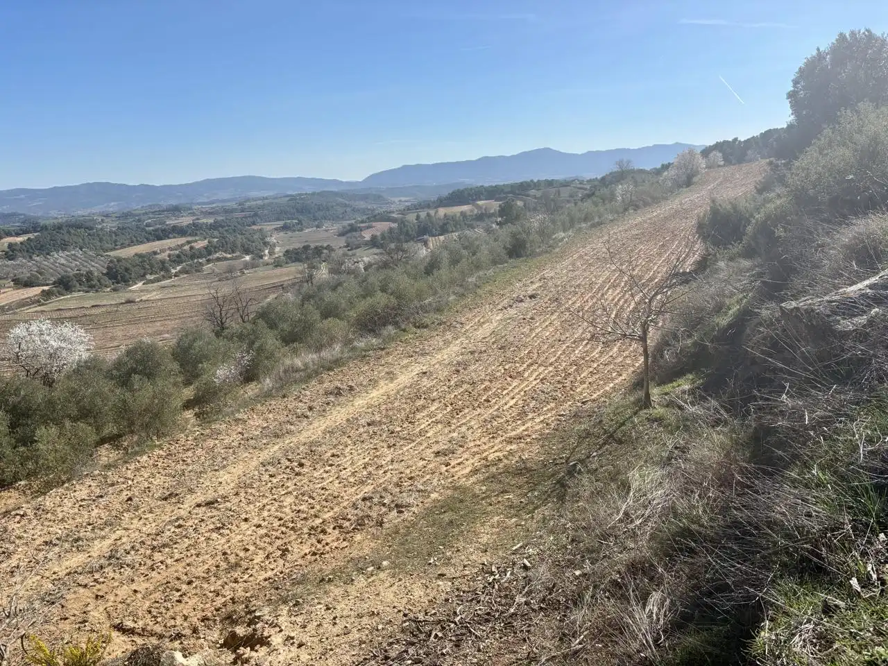 Terreno en venta en Solivella