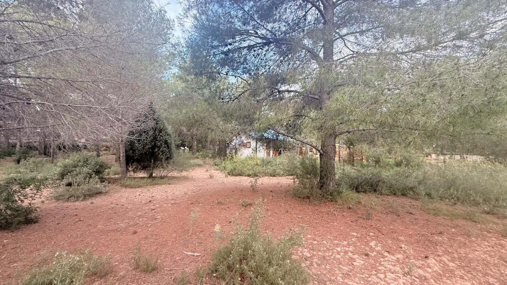 Terreny residencial en venda a Albalat dels Tarongers