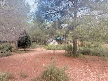 Terreno residenziale in vendita a Albalat dels Tarongers