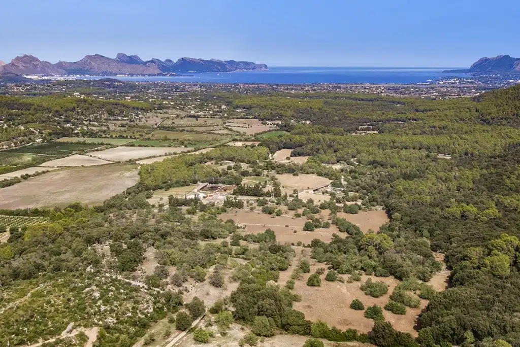 Terreno rustico in vendita a Pollença Poble, imagen 8