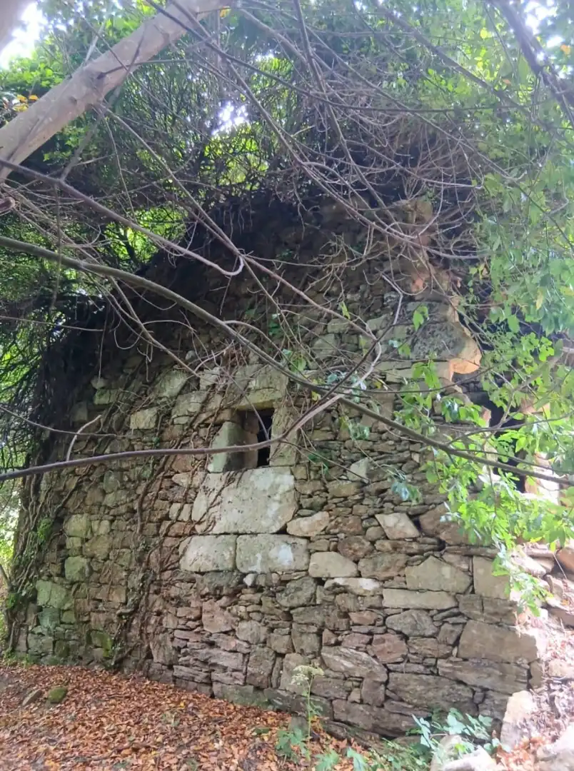 Casa rústica en venda a Gomesende, imagen 18