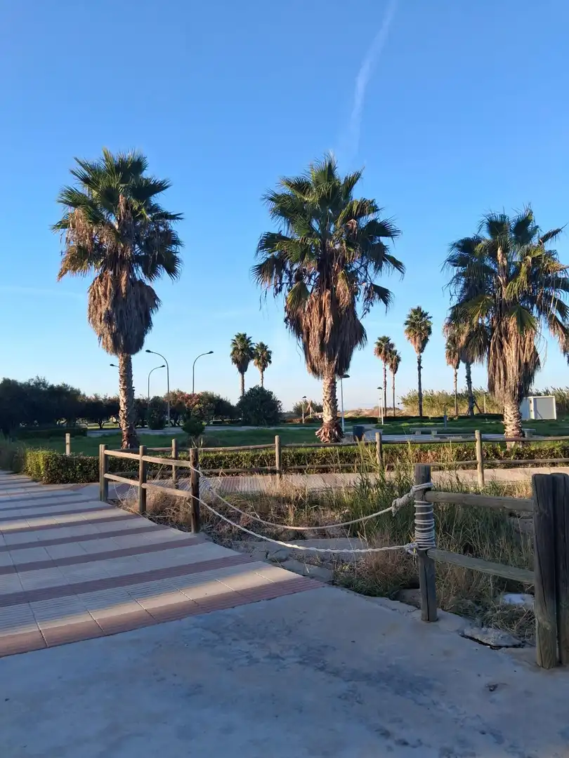 Appartamento con piscina in vendita a Daimús, imagen 18