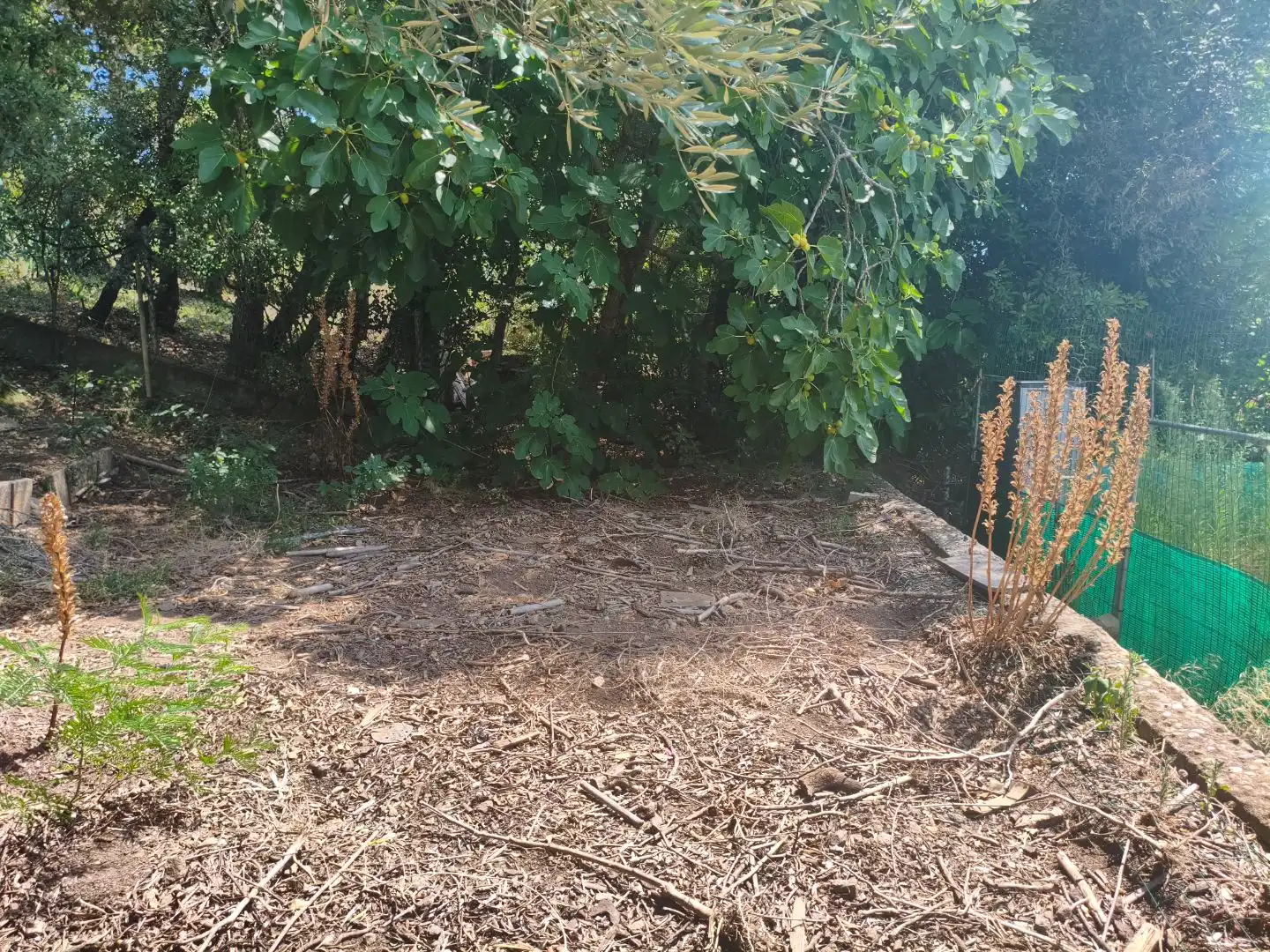 Villa avec piscine à vendre à AV ARBRES 1, imagen 41