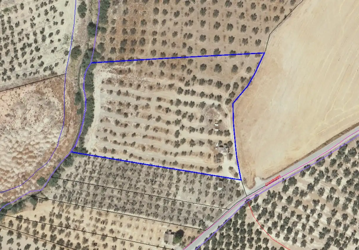 Rural land for sale in Belicena, imagen 15