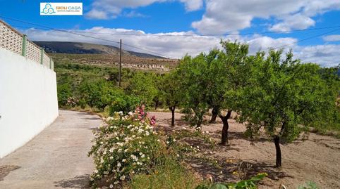 Foto 4 de Finca rústica en venda a Carrer Ibi, Jijona / Xixona, Alicante
