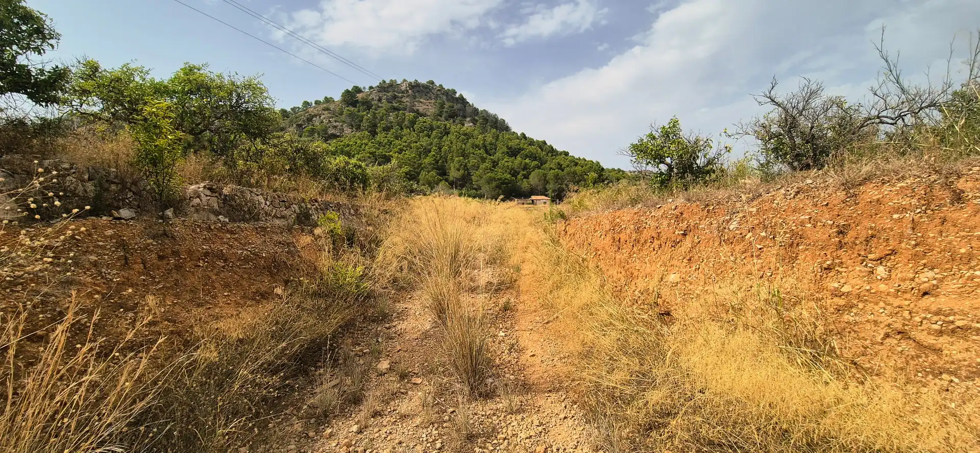 Finca rústica en venta en El Real de Gandia con Jardín privado, Terraza y Trastero