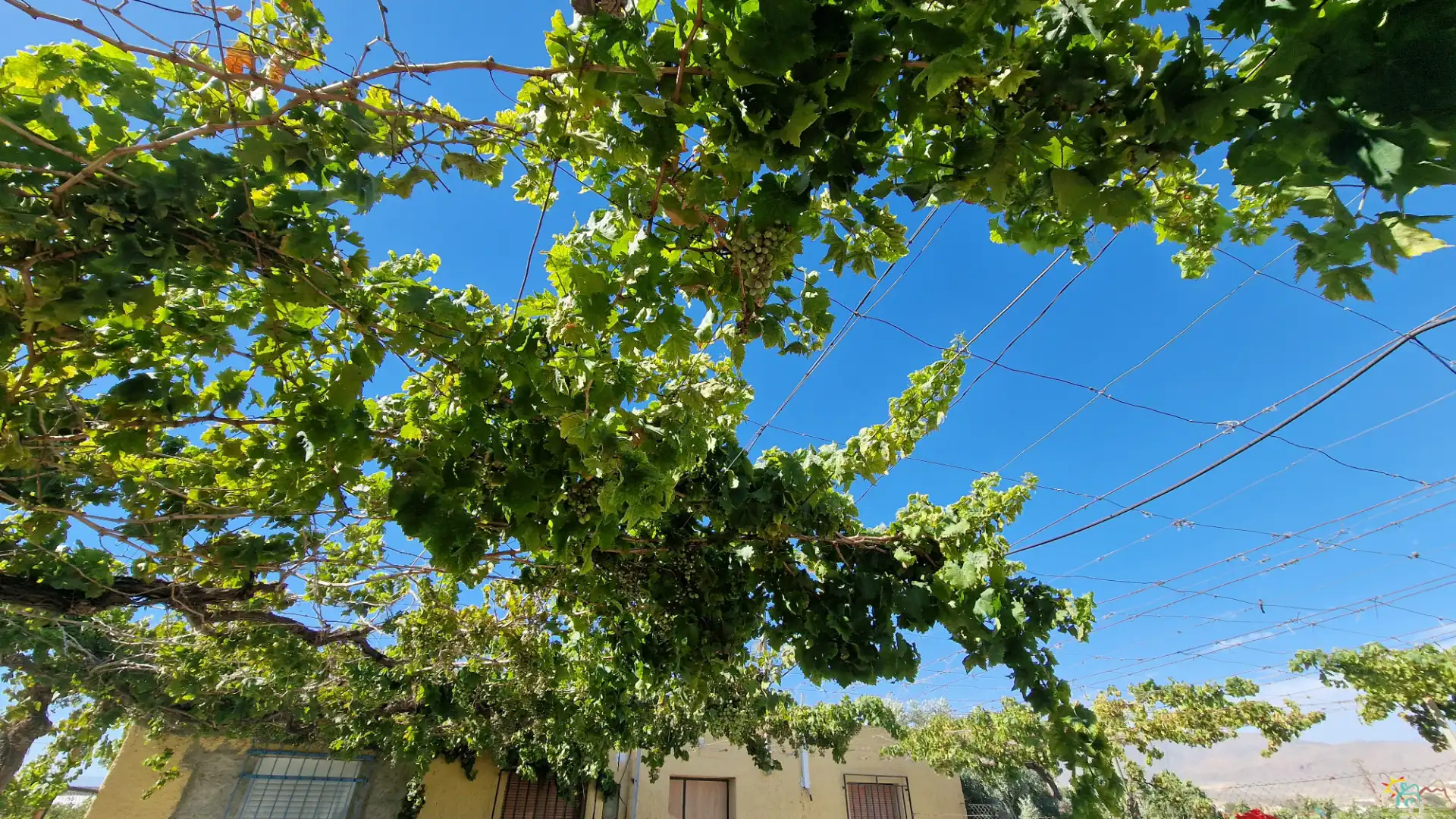 Vista exterior de Finca rústica en venta en Benahadux con Aire acondicionado y Amueblado