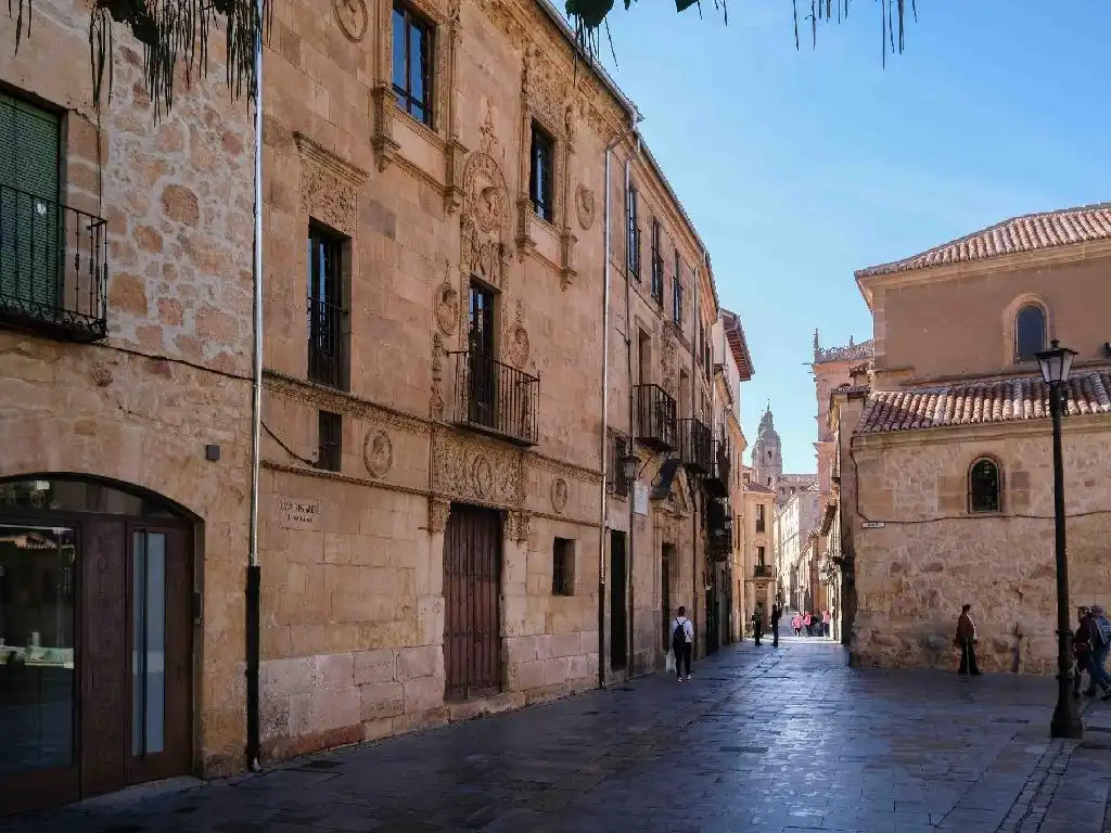 Exterior view of Buildings for sale in Salamanca