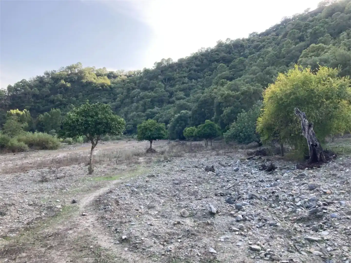 Land for sale in Benarrabá