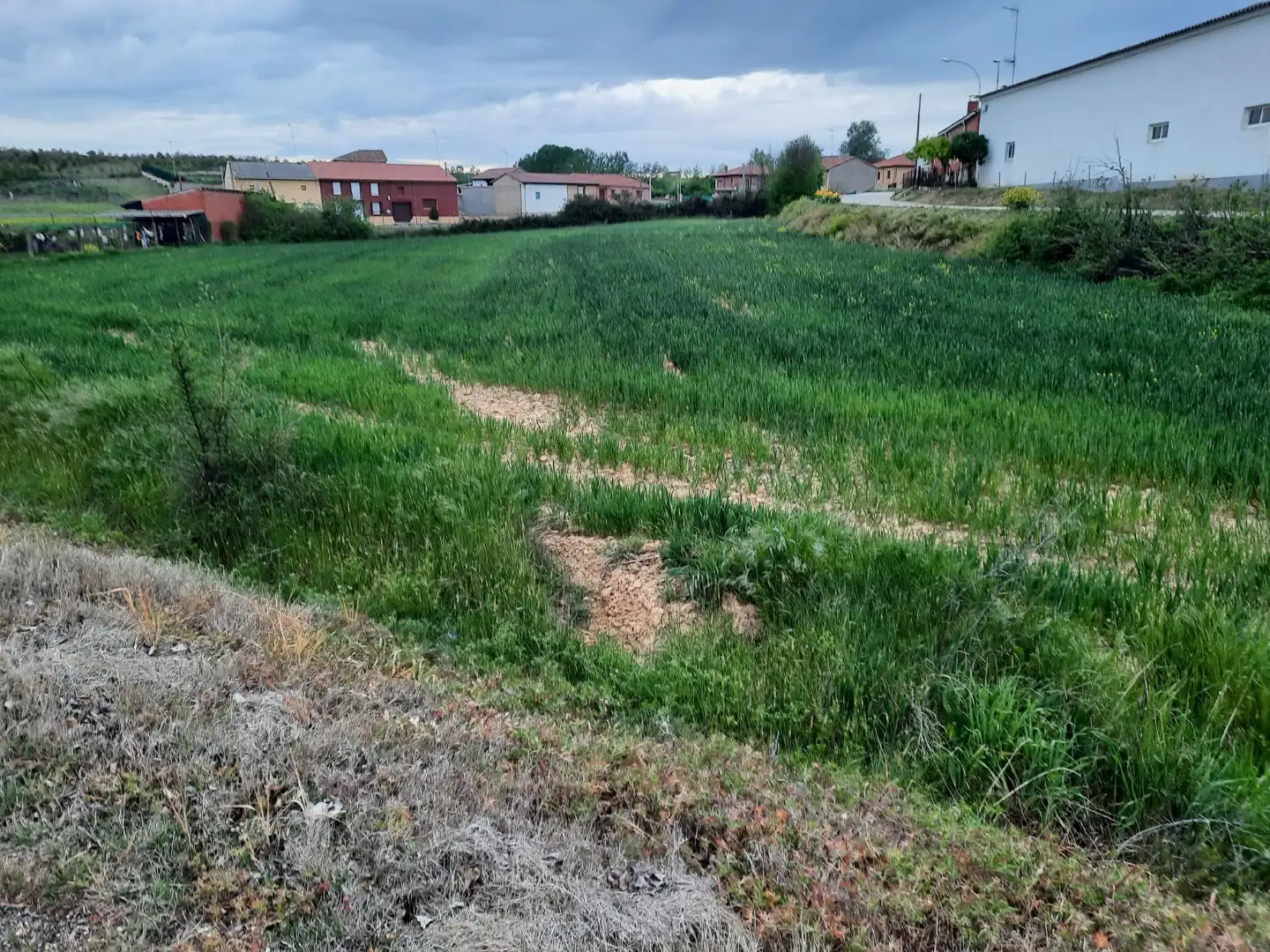 Terreno en venta en Villasabariego