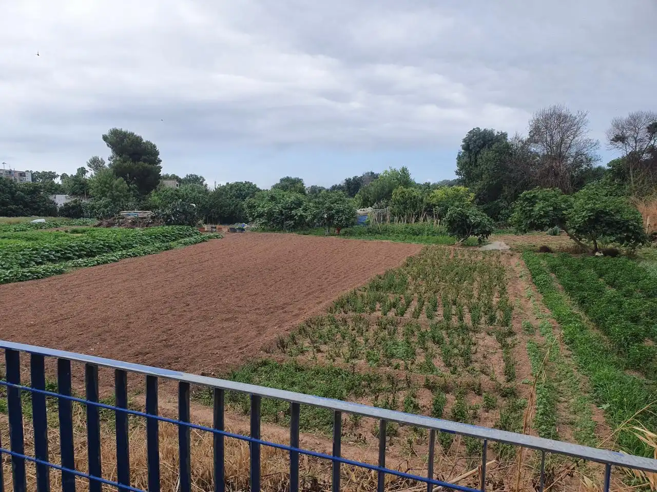Terrenys i solars en venda a Carrer C, imagen 3