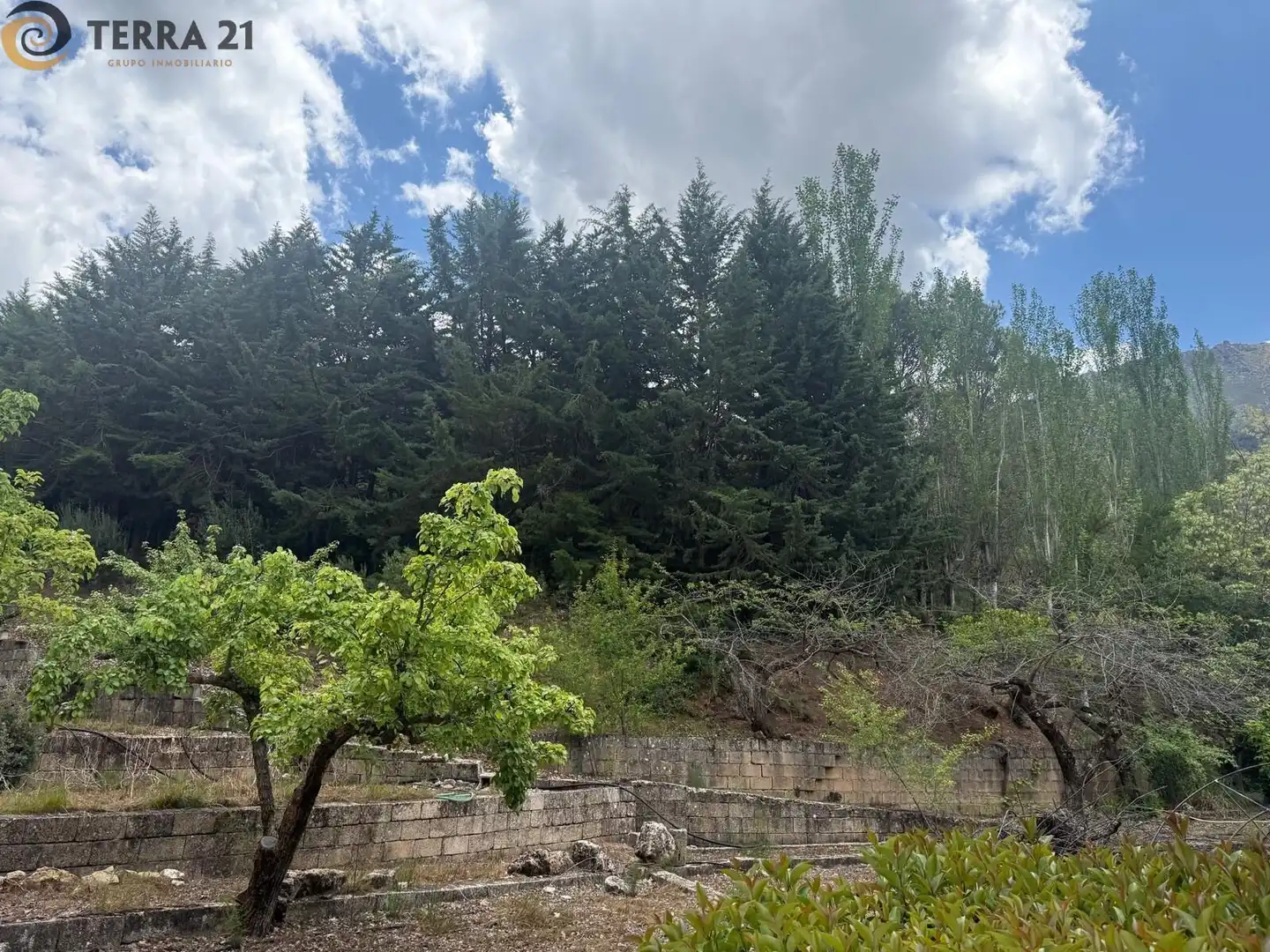 Finca rústica en venta en Los Villares con Aire acondicionado