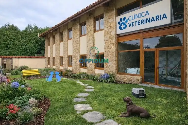 Chalet en venta en ZAPATEIRA, imagen 5