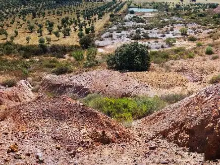 Terreny rústic en venda a parcela 191, imagen 14