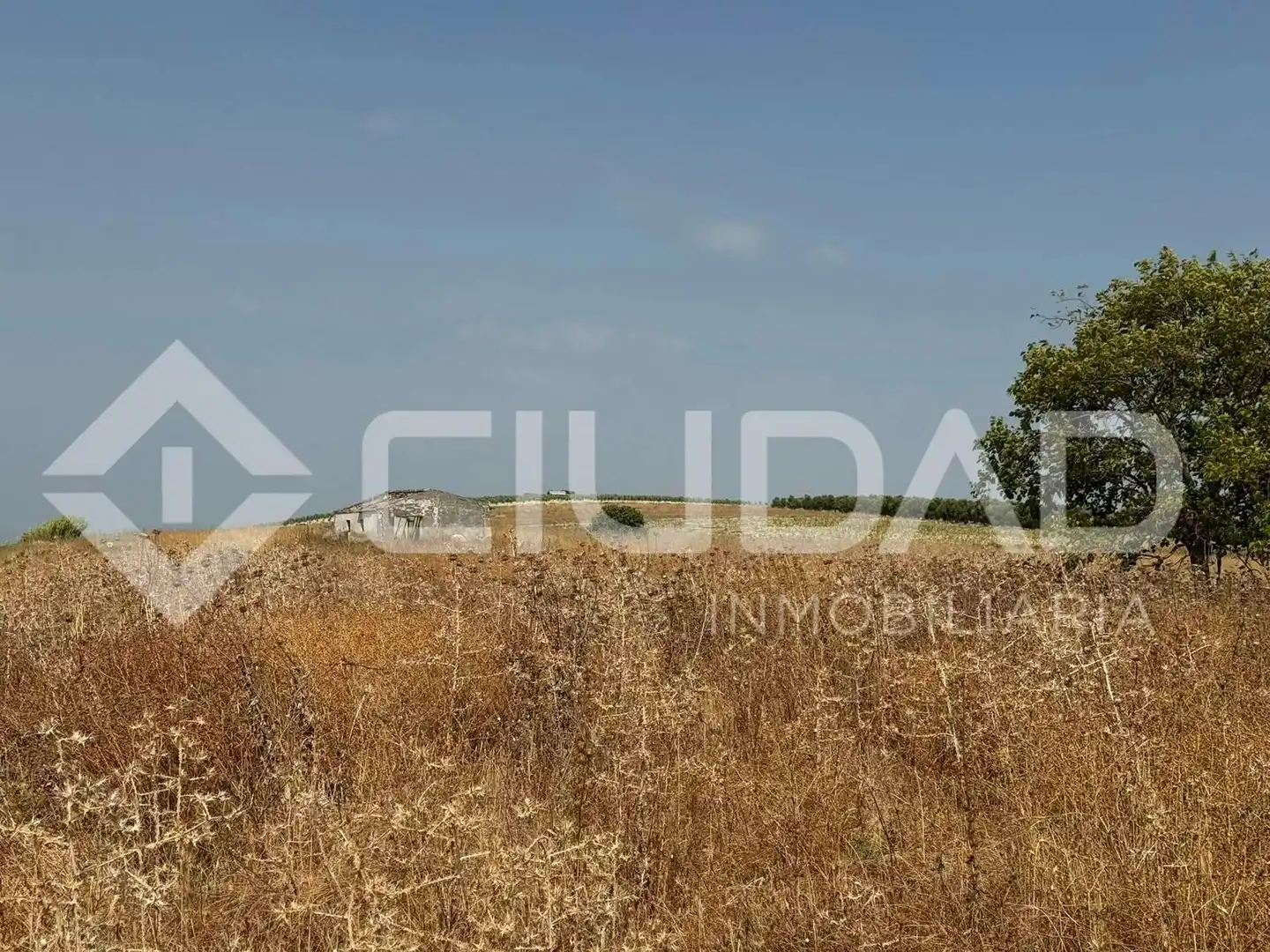 Lands and plots for sale in Lebrija, imagen 2