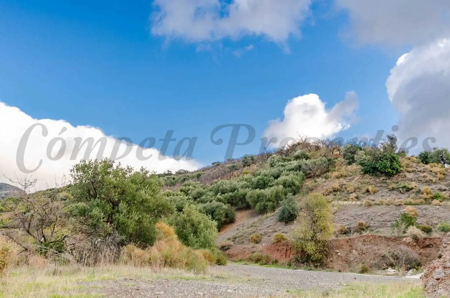 Terreno rustico in vendita a Salares, imagen 4