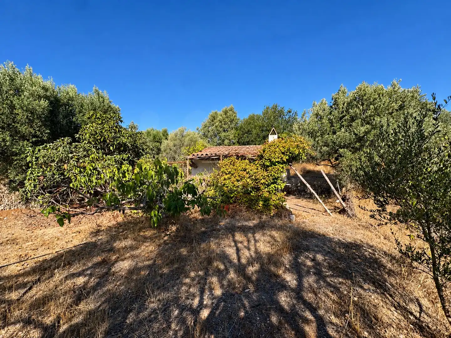 Terrain rustique à vendre à Riba-roja d'Ebre, imagen 2