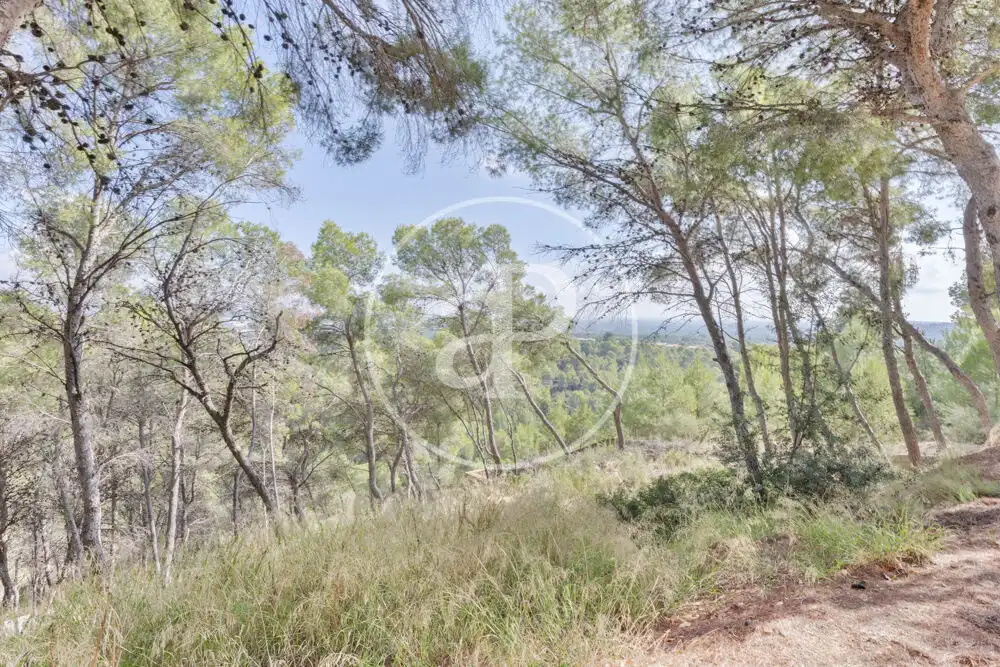 Terreno residenziale in vendita a El Bosque, imagen 15