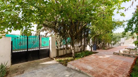 Foto 2 de Finca rústica en venta en Polígono 34 Paraje 43 Cerro Santa Ana, 22, Pinos Puente, Granada