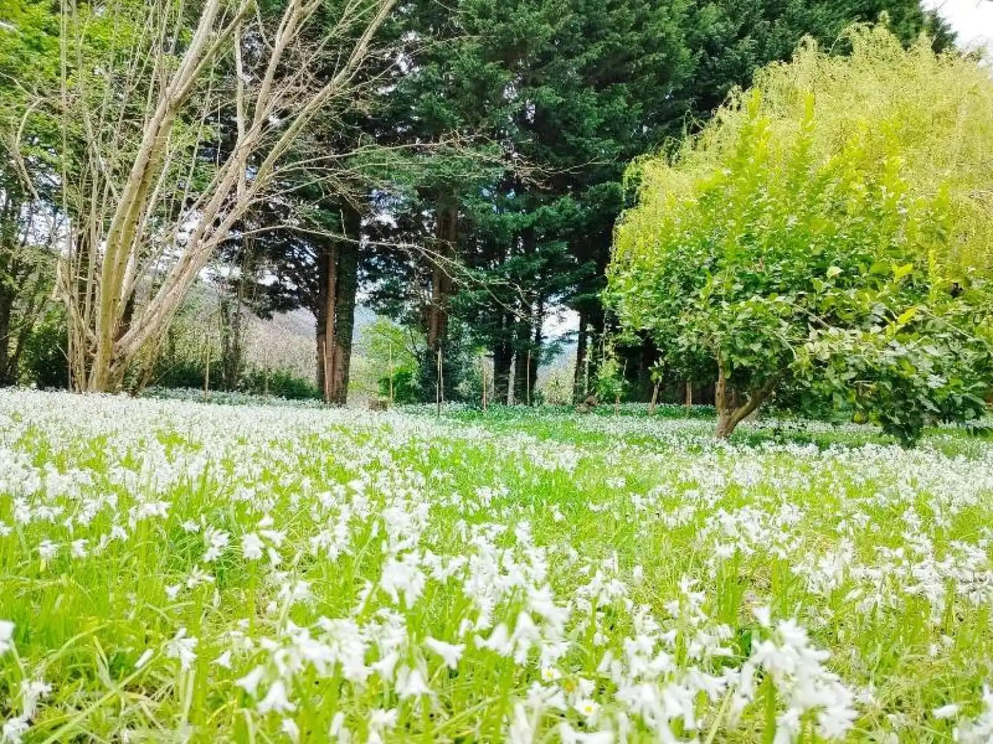 Jardí de Casa o xalet en venda en Torrelavega  amb Calefacció, Jardí privat i Traster