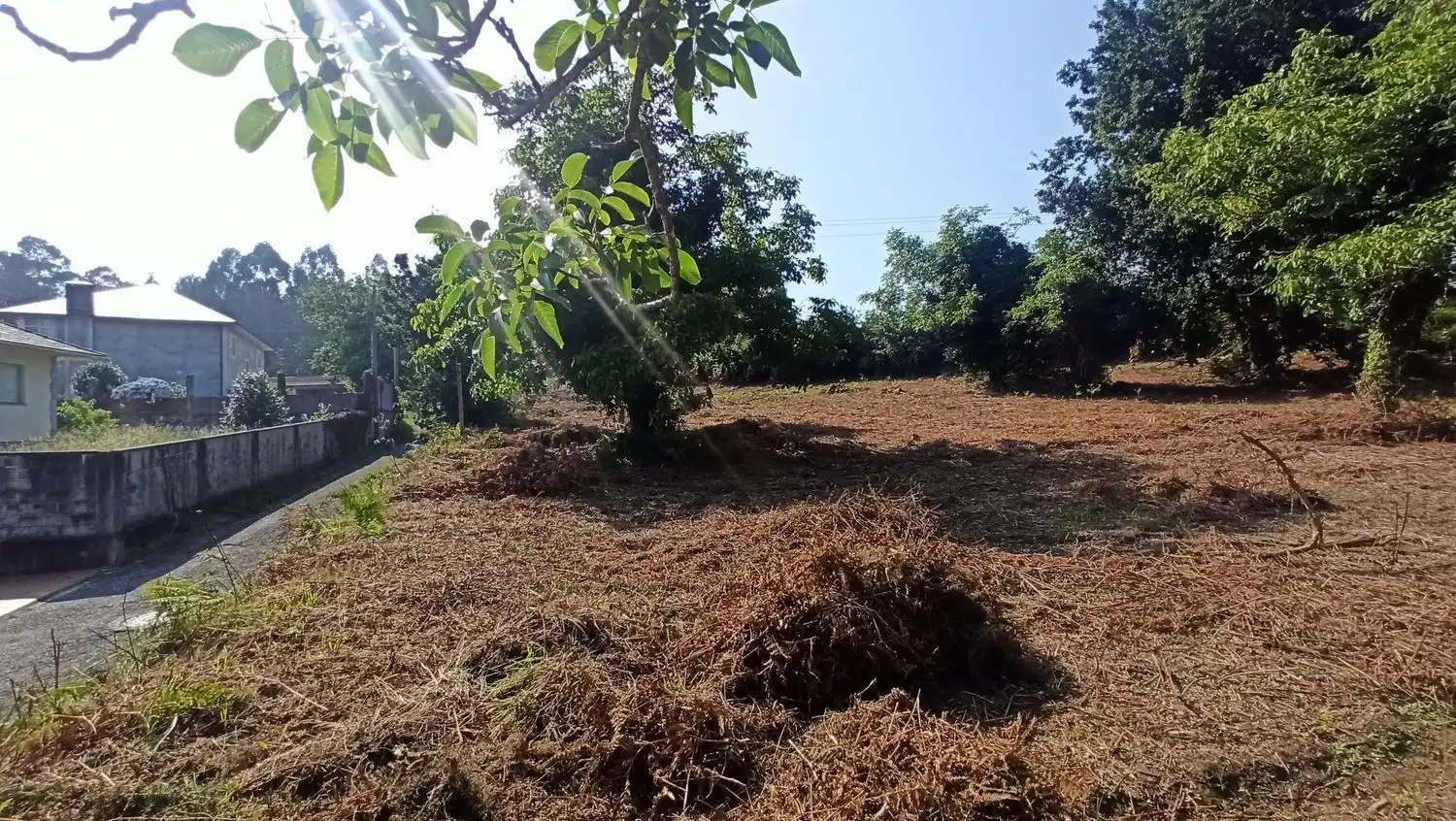 Terreno residencial en venta en Malata 0, imagen 9
