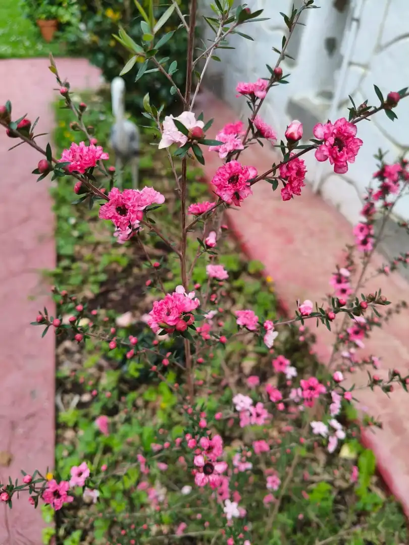 Haus mit Garten zum Verkauf in Bedia, imagen 50