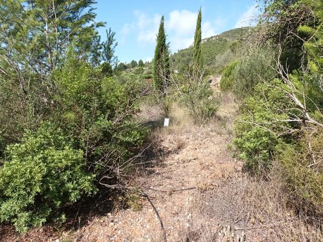 Terreno en Venta en Portichol, POL 24, -1 en Benigànim