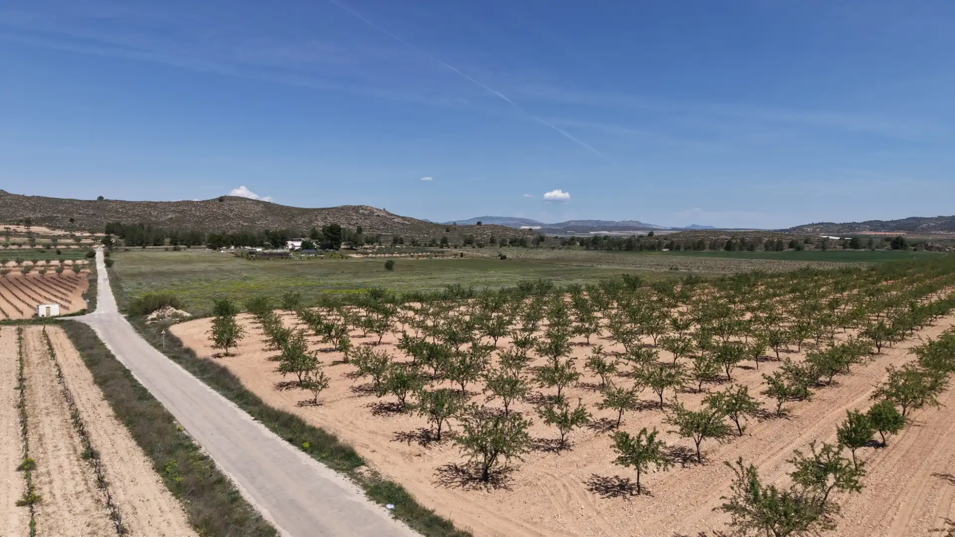 Residential land for sale in Yecla, imagen 2