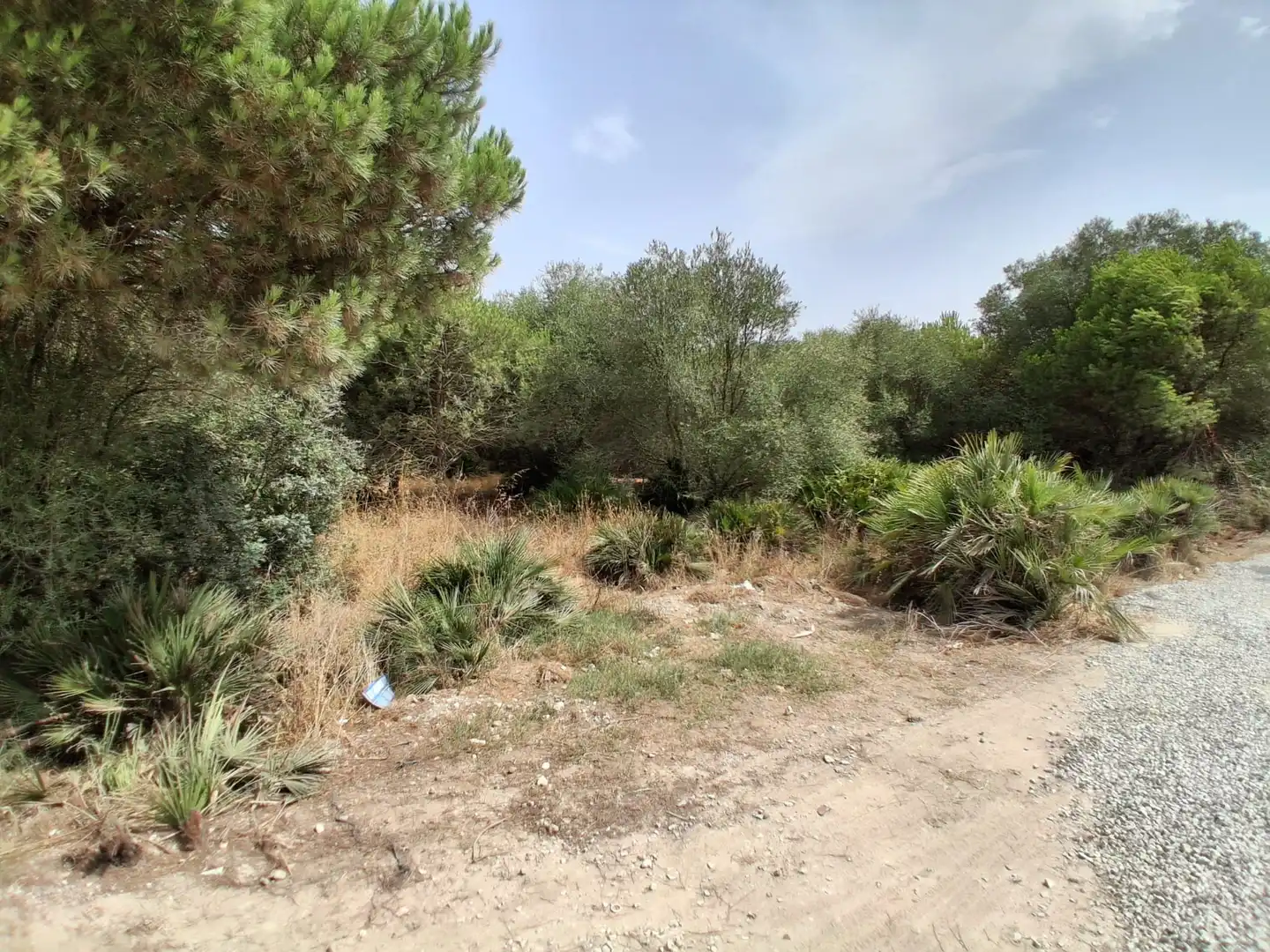 Residential land for sale in Pinar de la villa, imagen 14