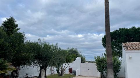 Foto 4 de Finca rústica en venda a Burguillos, Sevilla