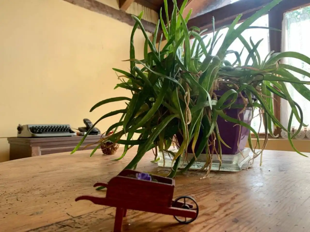 Jardín de Casa o chalet en venta en Arija con Calefacción, Jardín privado y Terraza