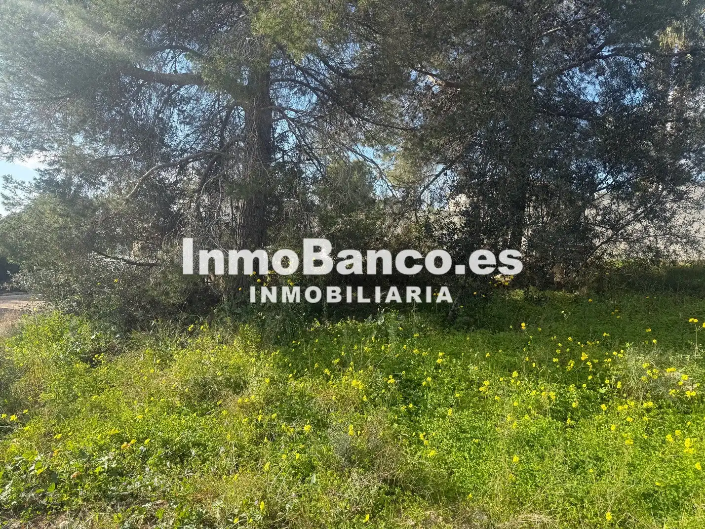 Residential land for sale in Calle Felipe II 50, imagen 8