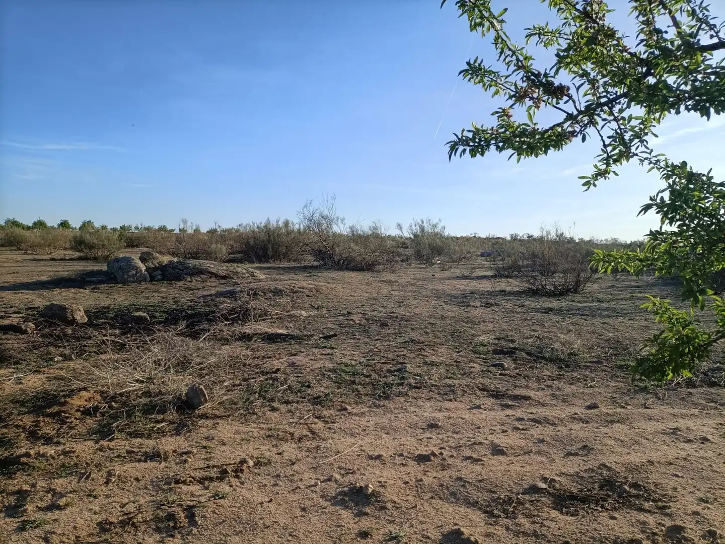 Terreni e lotti in vendita a Villaminaya