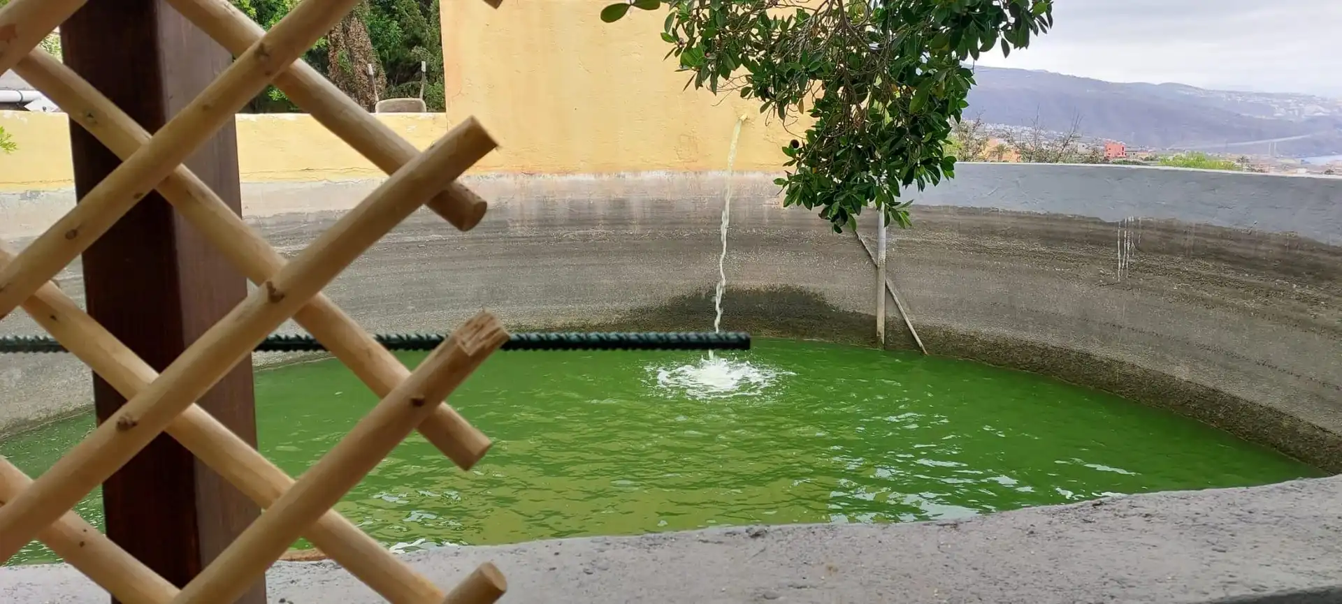 Swimming pool of Buildings for sale in Candelaria