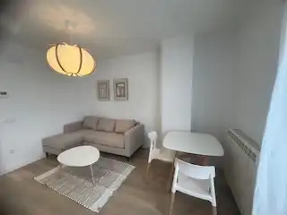 Sala d'estar de Apartament de lloguer en León Capital  amb Calefacció, Parquet i Terrassa