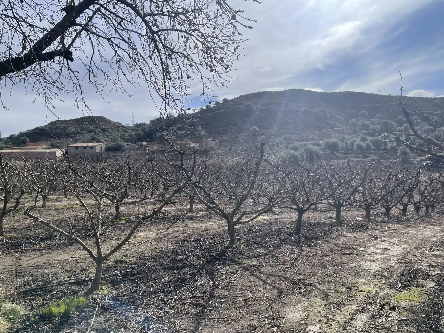 Land for sale in Fraga