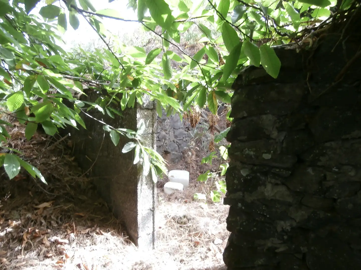 Finca rústica en venta en Camino Lomo el Marco, 41, Moya (Las Palmas)