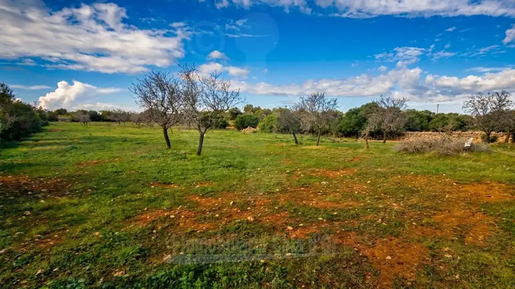 Rustikales Grundstück zum Verkauf in Cala Ferrera - Cala Serena, imagen 3