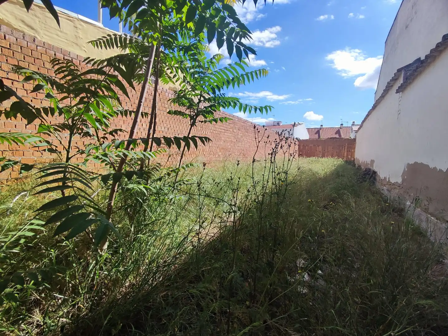 Terreny residencial en venda a Calle de Santa Catalina, imagen 7