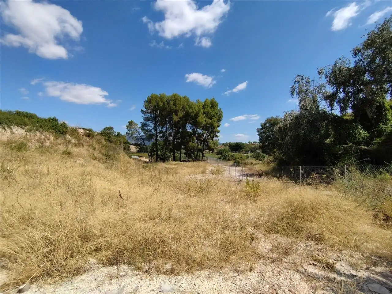Terreny residencial en venda a Alcudia-Industr, 206, imagen 12