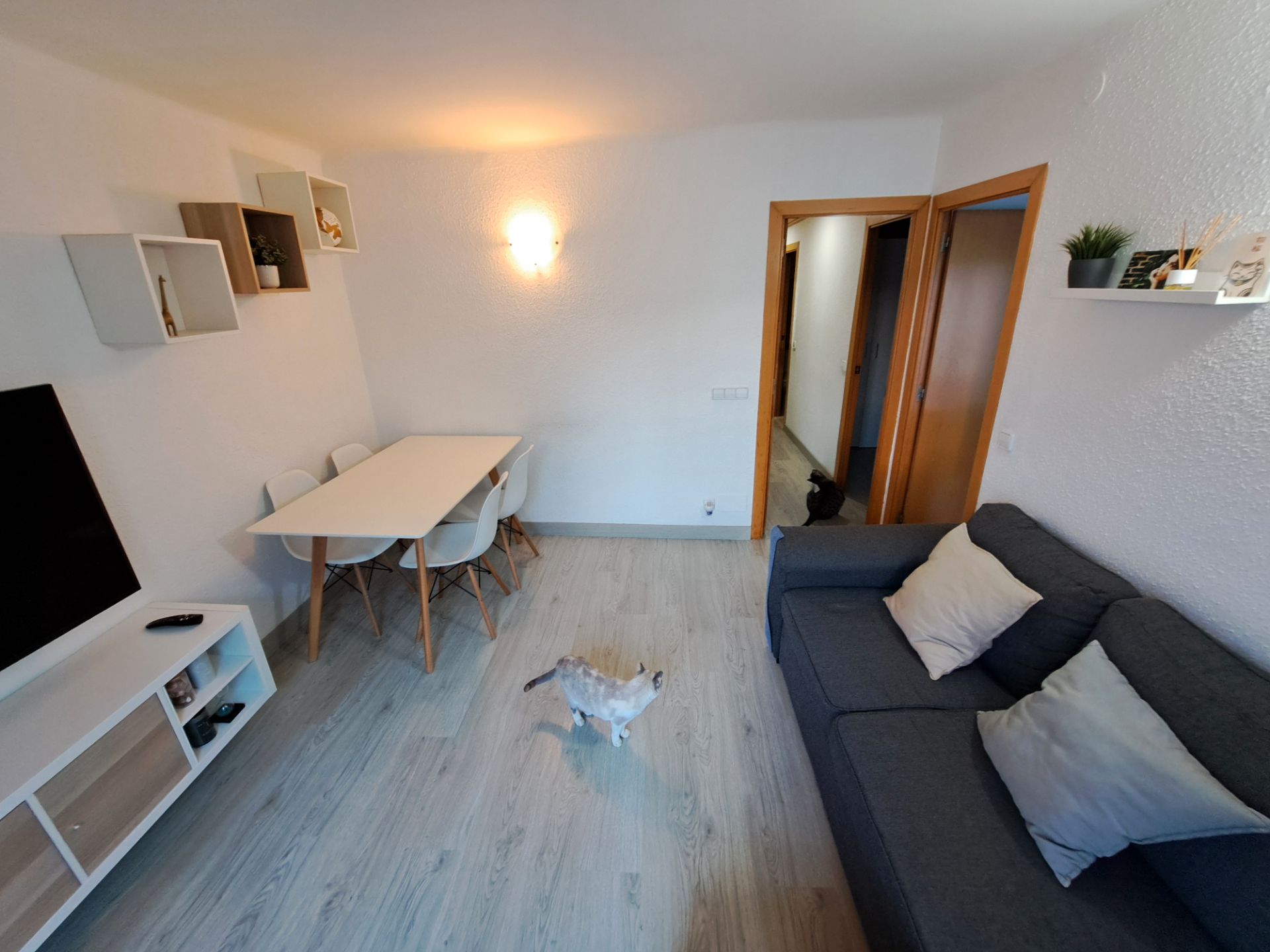 Pis en venda a Cirera