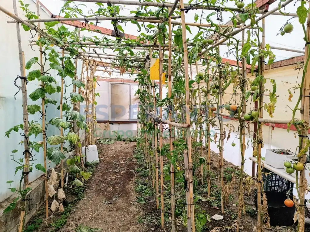 Jardí de Finca rústica en venda en Vélez-Málaga amb Aire condicionat, Jardí privat i Traster